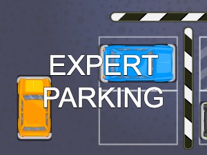 Expert Parking