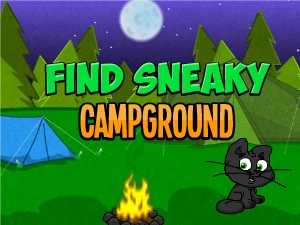 Find Sneaky Campground