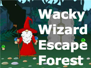 Wacky Wizard Escape Forest